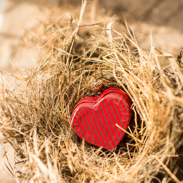 Red heart box in bird's nest, valentine concept. — Stock Photo, Image