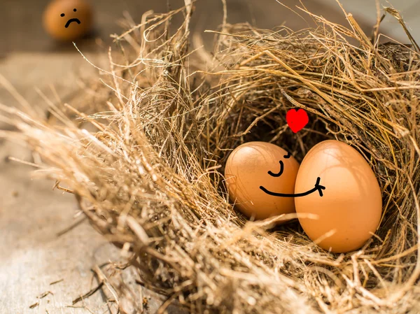 Eieren in nest van de vogel, natuurlijk licht. — Stockfoto