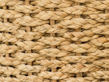 saman doku yakın çekim