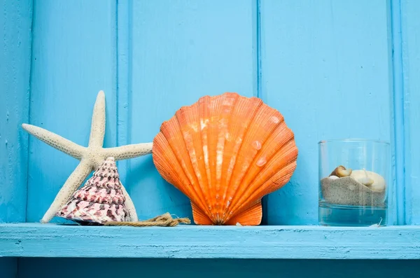 赤い貝で青い壁の装飾 — ストック写真