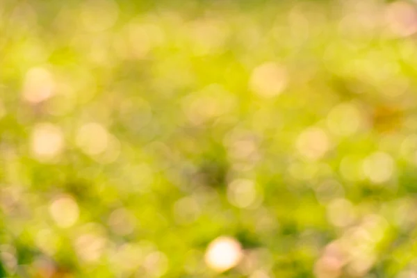 Fond de verdure ensoleillée du abstraite, Pasante — Stockfoto