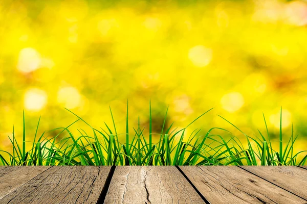 Весенняя зеленая трава с боке, солнечным светом и деревянным паркетом — стоковое фото