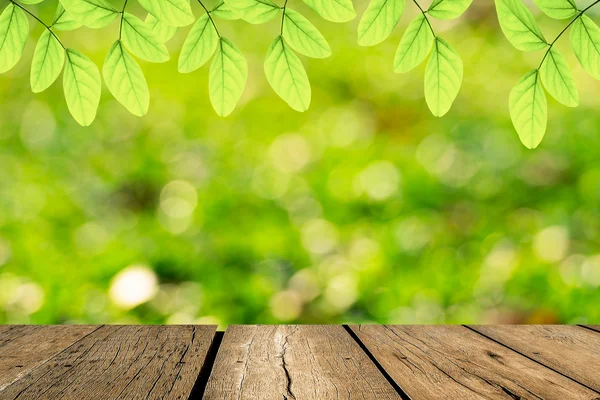 Hoja verde primavera con bokeh y la luz del sol y floo de madera — Foto de Stock