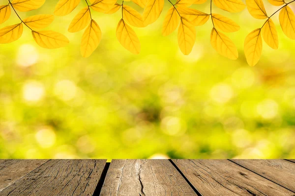 Hoja verde primavera con bokeh y la luz del sol y floo de madera —  Fotos de Stock
