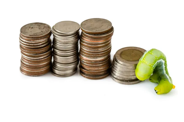 Зеленая гусеница взбирается на тайские монеты, денежная концепция . — стоковое фото
