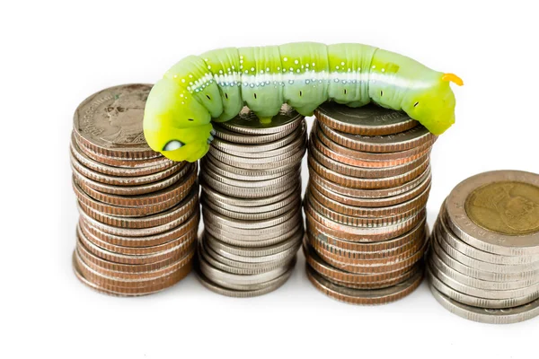 Zielona gąsienica wspinaczka na monety tajski, koncepcja pieniądza. — Zdjęcie stockowe
