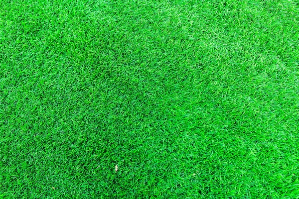 Green grass texture for background — Stock Photo, Image