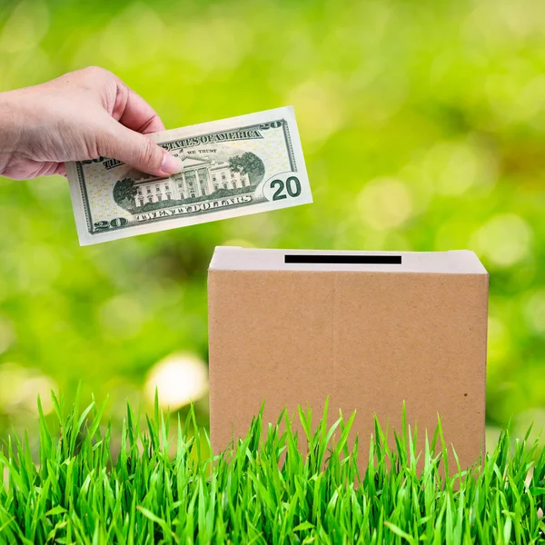 Mano humana poniendo dinero en caja de donaciones marrón con hierba verde y — Foto de Stock