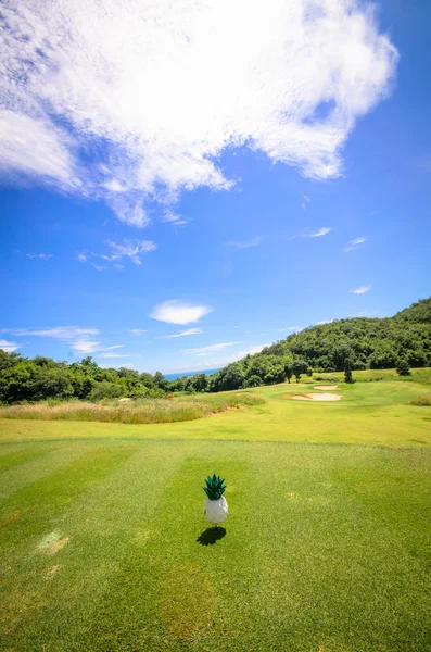 Pino de abacaxi em campos verdes — Fotografia de Stock