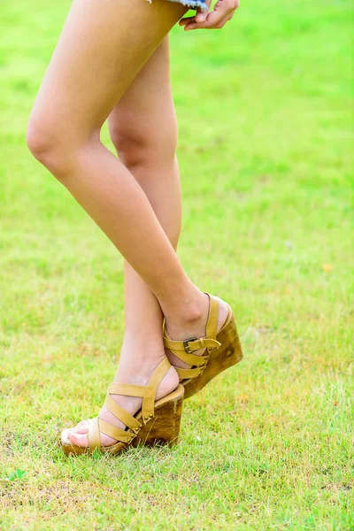 Sexy pernas femininas usando sapatos com a grama — Fotografia de Stock