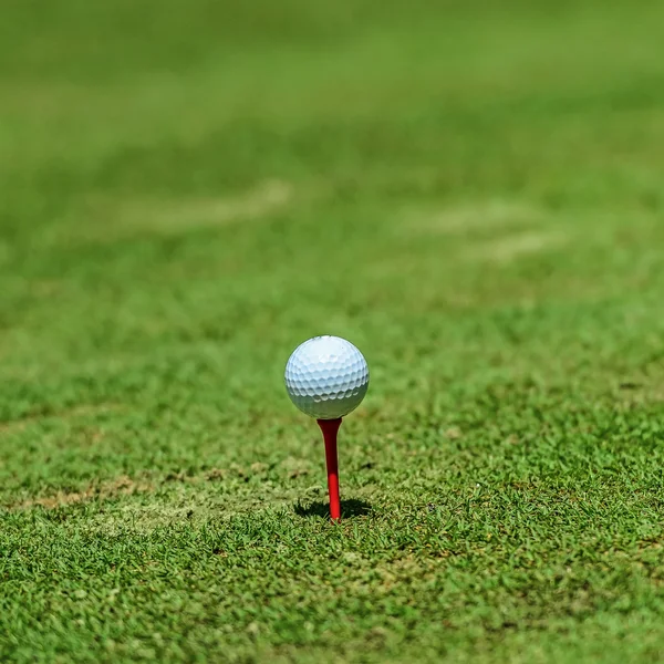 Golfball auf dem Abschlag über einem verschwommenen Grün. geringe Schärfentiefe. f — Stockfoto