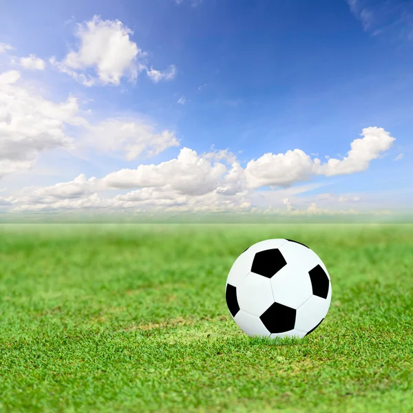 Ball on green field and blue sky — Stock Photo, Image