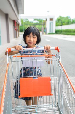 alışveriş sepeti ile kız.