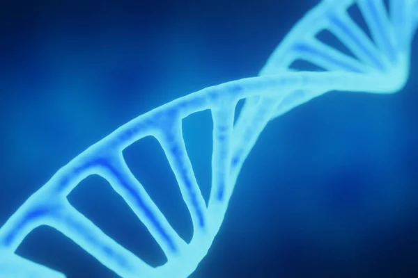 DNA.Deoxyribonucleic acid.DNA helix.Close-up.3D rendering.