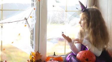 Cadı kostümlü bir kız pencerenin kenarında örümcek ağıyla ve örümcekle oynuyor. Cadılar Bayramı için evi dekore ediyor. Korkunç manzara, korku ve dehşet, balkabakları