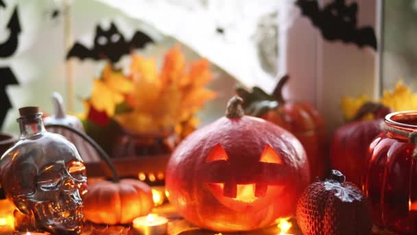 Ünnepi Dekoráció Ház Ablakpárkányon Halloween Sütőtök Jack Lámpások Koponyák Denevérek — Stock videók