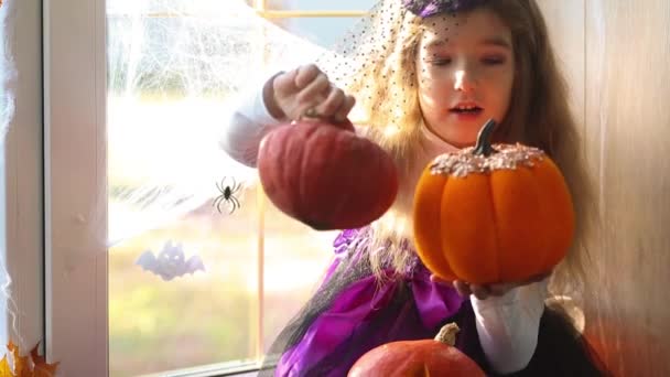 Dívka Kostýmu Čarodějnice Parapetu Okna Halloweenské Párty Zdobí Pavučiny Netopýry — Stock video