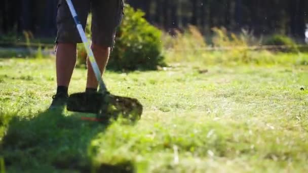 Muž Seká Trávu Trávníku Dvorku Nůžkami Péče Dvůr Předměstí Venkovských — Stock video