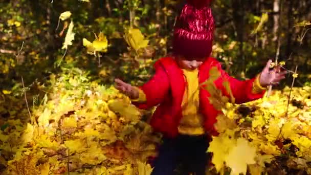 Девушка Красной Куртке Шляпе Играет Желтыми Опавшими Листьями Осенью Золотом — стоковое видео