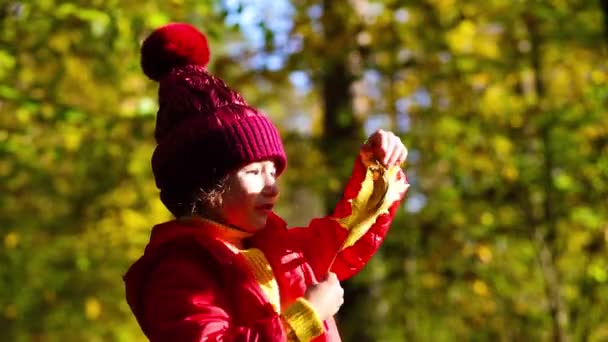 Girl Red Jacket Hat Plays Yellow Fallen Leaves Autumn Golden — Stock Video