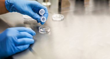 Laboratuvardaki bir bilim adamının elleri, bir deney tüpü ve bir mikroskopla. Aşıların icadı, tüp bebek kliniğinde çalışan bir doktor. Testler, yumurtanın döllenmesi.