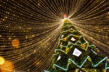 Parktaki yüksek şehir noel ağacı, ışık çelenkleriyle süslenmiş, geceleri sokakta parlıyor. Noel, yeni yıl, şehrin dekorasyonu. Kaluga, Rusya