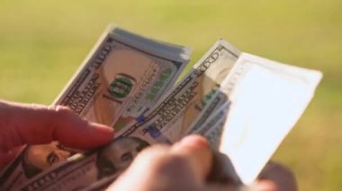 Eller paraları sayar, dolar kaydırır, yelpaze gibi yayılır, banknotları çevirir. Yüz dolar. Yakından 100 dolarlık banknot yığını. Finans, ekonomi, mali planlama, ekonomi, tasarruflar.