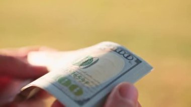 Eller paraları sayar, dolar kaydırır, yelpaze gibi yayılır, banknotları çevirir. Yüz dolar. Yakından 100 dolarlık banknot yığını. Finans, ekonomi, mali planlama, ekonomi, tasarruflar.