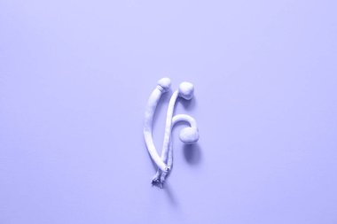 Dried psilocybin mushrooms on a in purple tinted very peri, variety psilocybe cubensis rasta white. Microdosing, psychedelic trip, recreation and change of consciousness