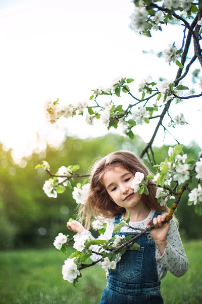 Una Linda Niña Años Huerto Manzanas Blancas Primavera Primavera Huerto — Foto de Stock