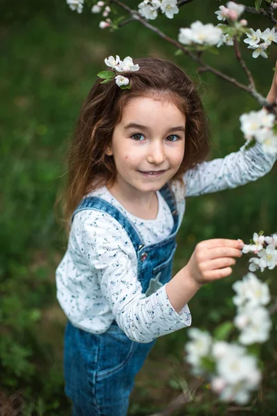Cute Little Girl Years Old Blooming White Apple Orchard Spring — Stock Photo, Image