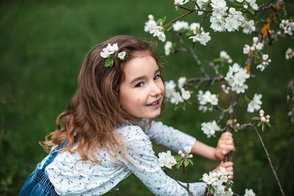 Cute Little Girl Years Old Blooming White Apple Orchard Spring — Stock Photo, Image