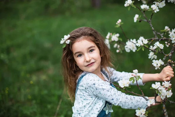 Cute Little Girl Years Old Blooming White Apple Orchard Spring — Stock Photo, Image