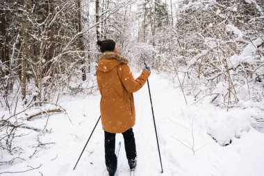 Sırtı karlı bir ormanın arka planında, elinde kayak sopalarıyla ponpon şapkalı bir kayakçı. Kros kayağı kış ormanlarında, açık hava sporlarında, sağlıklı yaşam tarzında..