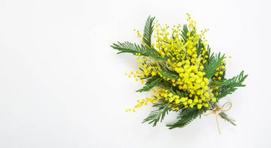 Sarı bir buket mimoza, hediye kutusu ve kese kağıdı. Uluslararası Kadınlar Günü için tebrik kartı, Bahar Festivali, 8 Mart, Paskalya. Boşluğu kopyala