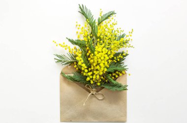 Sarı bir buket mimoza, hediye kutusu ve kese kağıdı. Uluslararası Kadınlar Günü için tebrik kartı, Bahar Festivali, 8 Mart, Paskalya. Boşluğu kopyala