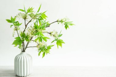 Açık tomurcuklardan gelen narin yapraklar, gri arkaplandaki bir masanın üzerindeki vazoda filizleniyor. Bahar, yeni bir hayatın başlangıcı. Boşluğu kopyala