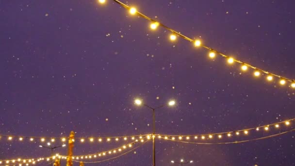通りの照明の妖精の光の庭の背景に雪のフレークが空を飛んでいます 新年の気分 クリスマス 街の装飾 スローモーション — ストック動画