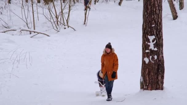 Μπαμπάς Και Κόρη Μια Χιονάτη Κατάβαση Χειμώνα Μια Χιονόπτωση Κάθονται — Αρχείο Βίντεο