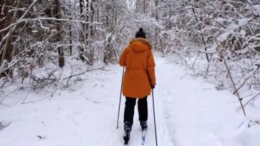 Şapkalı kayakçı, elinde kayak sopalarıyla, karlı ormanda kar altında. Kır ormanlarında kayak yapmak, açık hava sporları, sağlıklı yaşam tarzı. Yavaş çekim 4k video