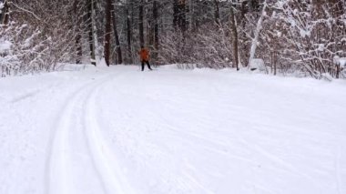 Kayakçı, kar yağışlı ormanda elinde kayak sopalarıyla şapka içinde kayak yapıyor. Kır ormanlarında kayak yapmak, açık hava sporları, sağlıklı yaşam tarzı. Yavaş çekim 4k video