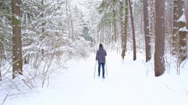 Şapkalı kayakçı, elinde kayak sopalarıyla, karlı ormanda kar altında. Kır ormanlarında kayak yapmak, açık hava sporları, sağlıklı yaşam tarzı. Yavaş çekim 4k video