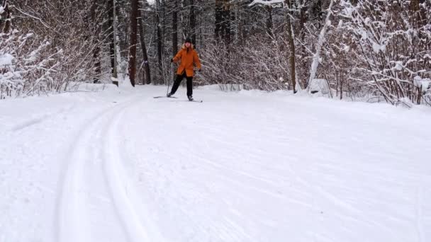 Skidåkning Skidor Hatt Med Pompom Med Skidstavar Händerna Med Snöig — Stockvideo