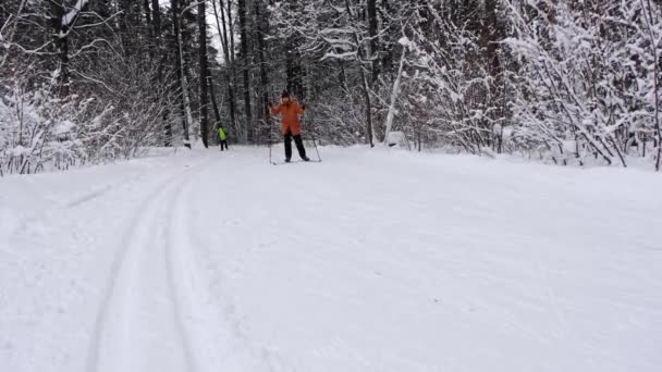Skier Πατινάζ Σκι Στο Καπέλο Πομπόν Κοντάρια Σκι Στα Χέρια — Αρχείο Βίντεο
