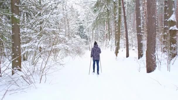 Skidåkare Hatt Med Pompom Med Skidstavar Händerna Med Snöig Skog — Stockvideo