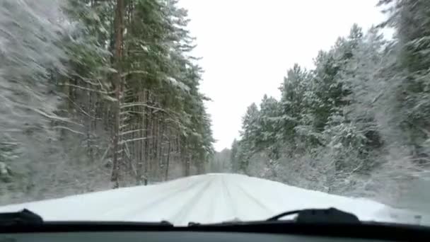Uma Estrada Estreita Coberta Neve Através Pinhal Inverno Uma Queda — Vídeo de Stock
