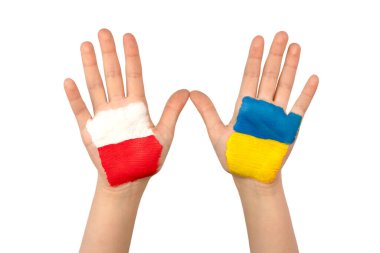 Polonya ve Ukrayna bayrakları. İzole edilmiş beyaz arka planda iki boyanmış çocuk palmiyesi. Birlik dayanışması yardım kavramı