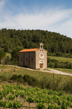 Corbieres A.O.C 'deki küçük kilise ve üzüm bağları Fransa' da.
