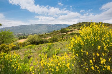 Fransa 'nın Aude şehrinde güneşli bir bahar gününde Corbiere Vineyard' lı Aguilar Cathar Şatosu