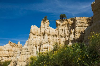 Ille-sur-Tet Organlar Pirenes-Orientales Fransa 'da güneşli bir bahar gününde
